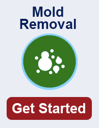 mold remediation in Austin TN